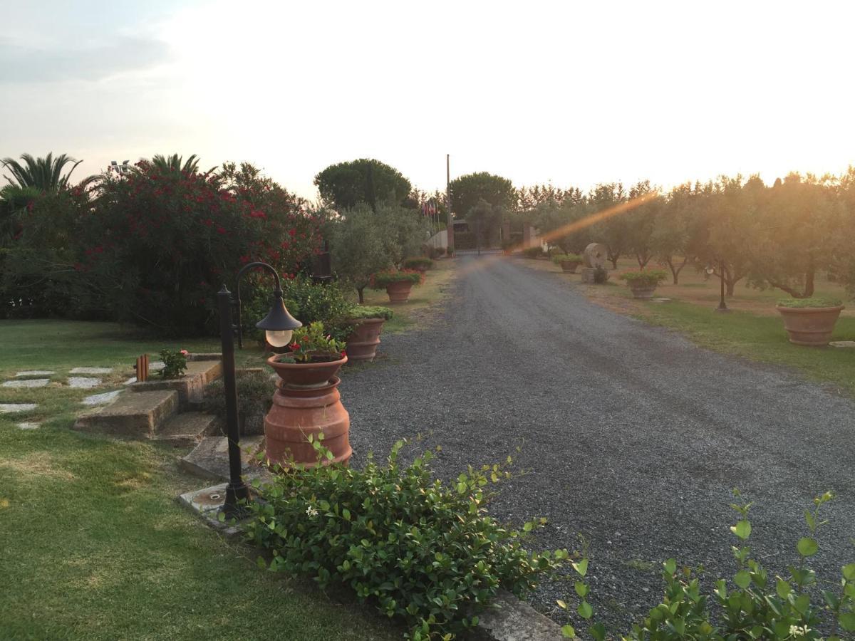 Le Macine Villa Cecina  Ngoại thất bức ảnh